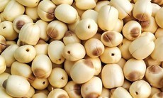 Sen - thực phẩm bổ dưỡng và trị bệnh