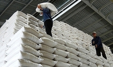 Xuất cấp hàng nghìn tấn gạo cho người dân 5 tỉnh dịp Tết Nguyên đán và giáp hạt 2023
