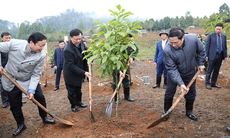 Thủ tướng Chính phủ dâng hương tưởng nhớ Chủ tịch Hồ Chí Minh và phát động Tết trồng cây Xuân Quý Mão