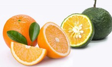 Những tác dụng trị bệnh bất ngờ từ cam