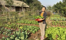 Cựu MC VTV Minh Trang 'bỏ phố về rừng', khoe vườn rau tự trồng