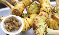 10 bài thuốc trị bệnh từ củ riềng