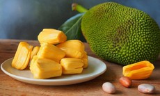 Những trường hợp nào cần hạn chế ăn mít?