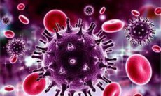 HIV và AIDS khác nhau như thế nào?