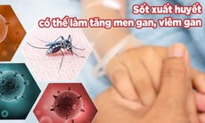 Có nên dùng bổ gan khi bị sốt xuất huyết Dengue?