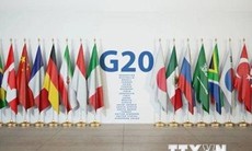 G20 quan ngại về triển vọng tăng trưởng của kinh tế toàn cầu