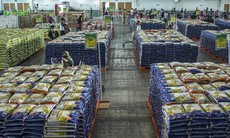 Thị trường gạo 'án binh' chờ quyết định của Ấn Độ về thuế xuất khẩu