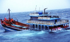 Thủ tướng Chính phủ chỉ đạo khẩn vụ 2 tàu cá bị chìm tại khu vực đảo Song Tử Tây