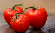 Cách ăn cà chua có lợi về dinh dưỡng nhất