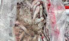 Phát hiện trên 4,5 tấn cá khoai chứa chất gây ung thư