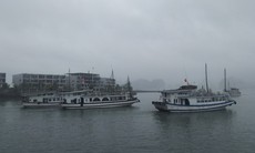 Quảng Ninh tạm dừng cấp phép phương tiện thủy ra khơi từ 15h ngày 19/10