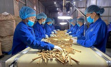 Tạo điều kiện xúc tiến xuất khẩu các sản phẩm quế, hồi, dược liệu Việt Nam ra thị trường quốc tế