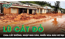 Lũ cát, bùn đỏ gây chia cắt đường, ngập nhiều nhà dân ở Bình Thuận