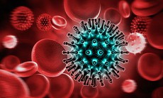 Đồng nhiễm HIV và viêm gan C gây biến chứng nặng, tỉ lệ tử vong cao