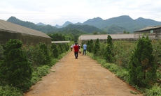 'Bài toán' thoát nghèo cho người dân vùng cao Hà Giang với cây dược liệu