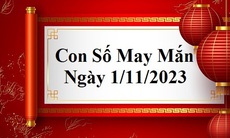 Con số may mắn hôm nay 1/11: Tham khảo số tài lộc theo năm sinh