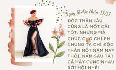 Những lời chúc ngày lễ độc thân 11/11 hay và ý nghĩa nhất