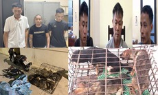 Bắt nhóm trộm gần 100 con chó ở Thanh Hóa