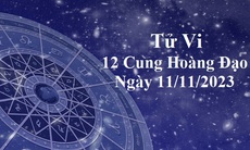 Tử vi 12 cung hoàng đạo hôm nay 11/11: Xử Nữ bối rối, Bảo Bình nhạy cảm