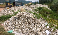 Quảng Ninh: Người dân 'nghẹt thở' vì mùi hôi từ những bãi thải vỏ hàu