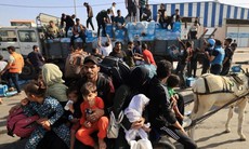 Cuộc chiến sinh tồn giữa đống đổ nát của người dân Gaza