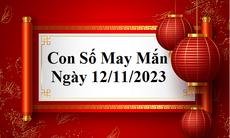 Con số may mắn hôm nay 12/11: Tham khảo số tài lộc ngày Chủ Nhật