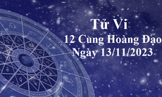 Tử vi 12 cung hoàng đạo hôm nay 13/11: Cự Giải lo lắng, Ma Kết khó chịu