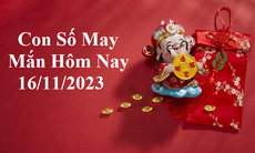 Con số may mắn hôm nay 15/11: Tham khảo số tài lộc theo tuổi của bạn