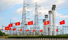 Kỷ niệm 133 năm Ngày sinh Chủ tịch Hồ Chí Minh (19/5/1890 - 19/5/2023): Tổng công ty Truyền tải điện Quốc gia làm theo lời Bác!