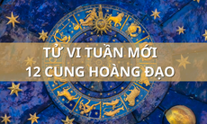 Tử vi tuần mới 12 cung hoàng đạo từ 20/11 - 26/11/2023: Bảo Bình ổn định, Bạch Dương lạc quan