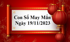 Con số may mắn hôm nay 19/11: Tham khảo số tài lộc đầy đủ các năm sinh