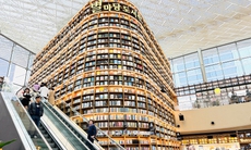 Choáng ngợp với thư viện sách khổng lồ dưới lòng đất
