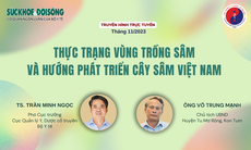 Truyền hình trực tuyến: Thực trạng vùng trồng sâm và hướng phát triển cây sâm Việt Nam