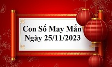 Con số may mắn hôm nay 25/11: Tham khảo số tài lộc cuối tuần