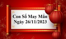 Con số may mắn hôm nay 26/11: Tham khảo số phúc lộc cuối tuần