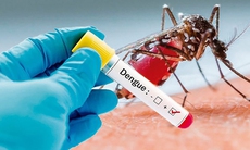Cả nước có hơn 149.500 ca sốt xuất huyết, Hà Nội ghi nhận thêm tuýp D3 gây bệnh 