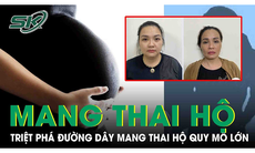 Quá trình triệt phá đường dây mang thai hộ quy mô lớn tại Hà Nội