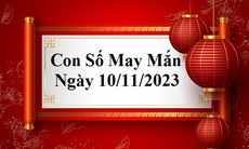 Con số may mắn hôm nay 10/11: Tham khảo số đón tài lộc 12 con giáp