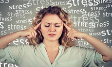 Hai bài thuốc giúp giảm stress