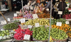 Hà Nội: Xóa sổ các điểm kinh doanh trái cây lấn chiếm lòng đường, vỉa hè trong năm 2024
