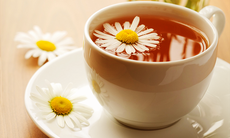 5 loại trà dưỡng nhan làm đẹp da tốt cho sức khỏe