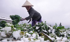 Đợt rét sắp tới kéo dài nhiều ngày, cường độ cực kỳ mạnh
