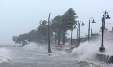 Ứng phó với diễn biến của bão Jelawat có khả năng vào Biển Đông