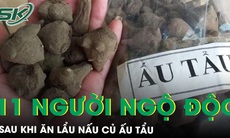 Ăn lẩu có nấu kèm củ ấu tẩu, 11 người bị ngộ độc