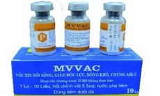 Việt Nam xuất khẩu vaccine sởi