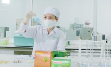 Traphaco nâng tầm giá trị sản phẩm với chiến lược phát triển Đông dược cao cấp