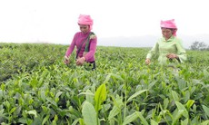 Lai Châu cần đẩy mạnh triển khai 3 Chương trình mục tiêu quốc gia