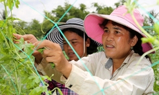 Chính sách tín dụng ưu đãi giúp đồng bào DTTS Trà Vinh vươn lên thoát nghèo