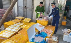 Hơn 1 tấn thực phẩm 'bẩn' giấu giữa cánh đồng hoa ở Hà Nội