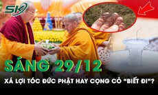 Sáng 29/12: Tranh cãi xá lợi tóc của Đức Phật hay chỉ là cọng cỏ 'biết đi' bán tràn lan trên mạng?